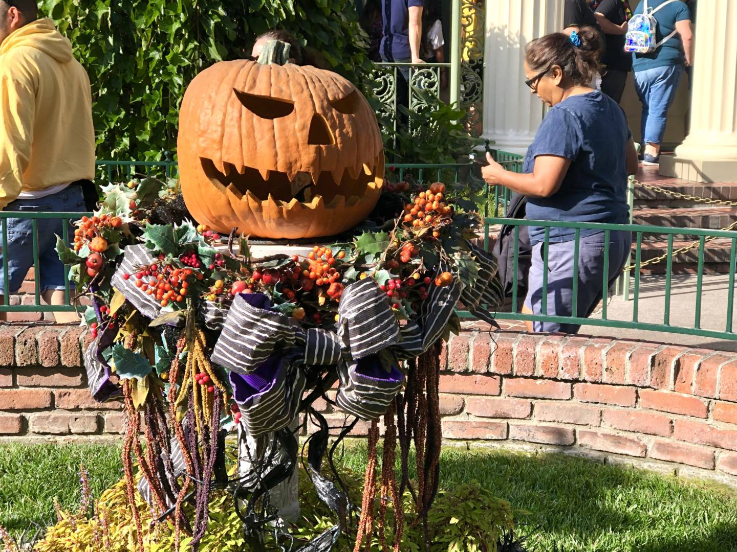, The Hoppers – Top Ten Holiday Spots at the Disneyland Resort