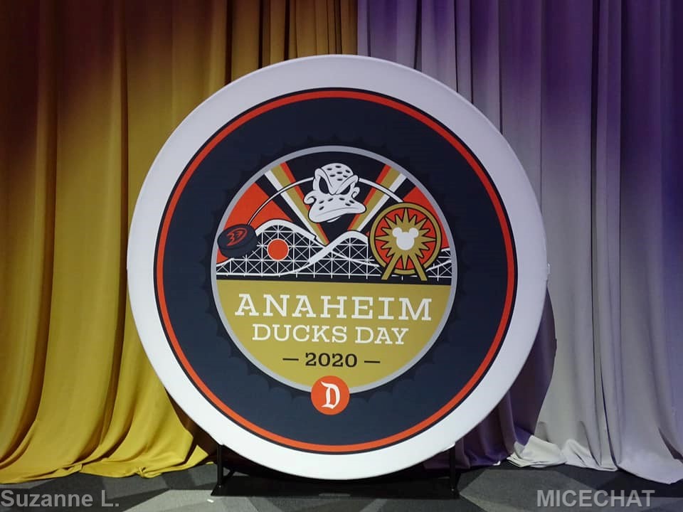 Anaheim Ducks Day DCA 7