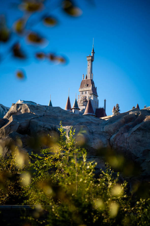 , Dateline Disney World – Tron Tryout and Massive Magic Kingdom Crowds