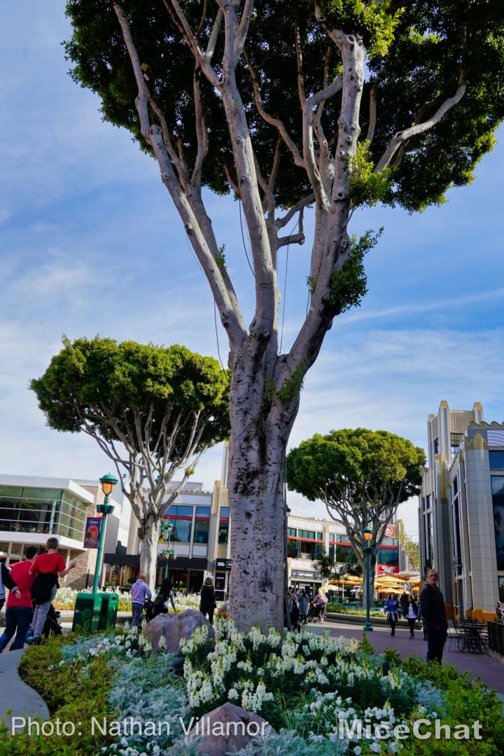 Rise of the Resistance, Disneyland News & Photo Update – Rise and Resistance!