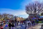 Disneyland-News-Crowds-Main-Street-2