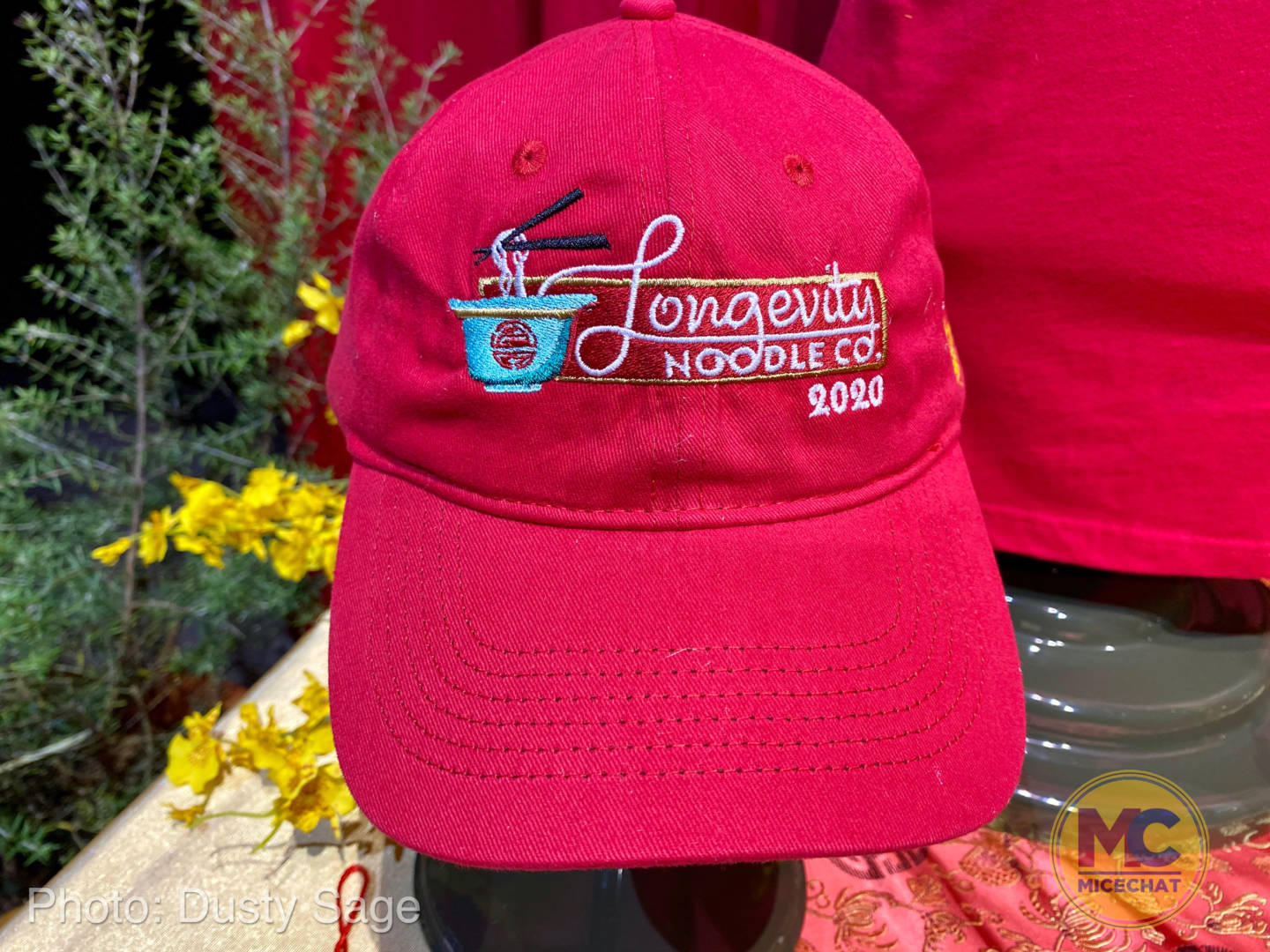 , Disneyland Update – A Lucky Lunar New Year