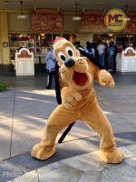 Disneyland-News-Lunar-New-Year-Pluto