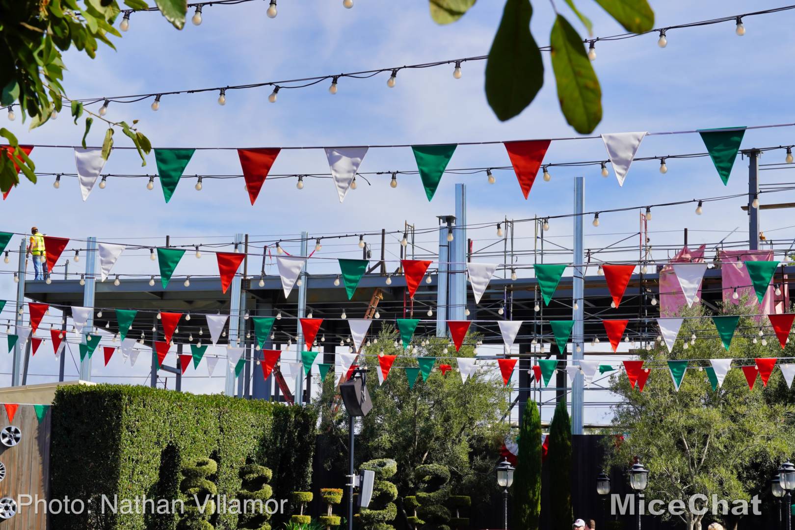 , Disneyland Update – A Lucky Lunar New Year