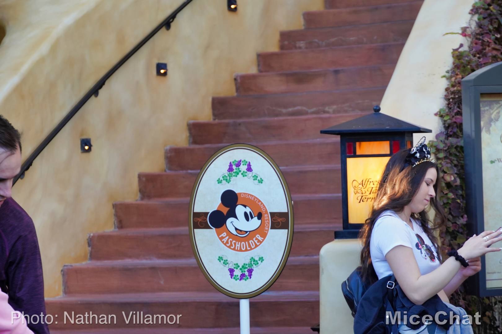 , Disney California Adventure Update – Marvel Up, Christmas Down