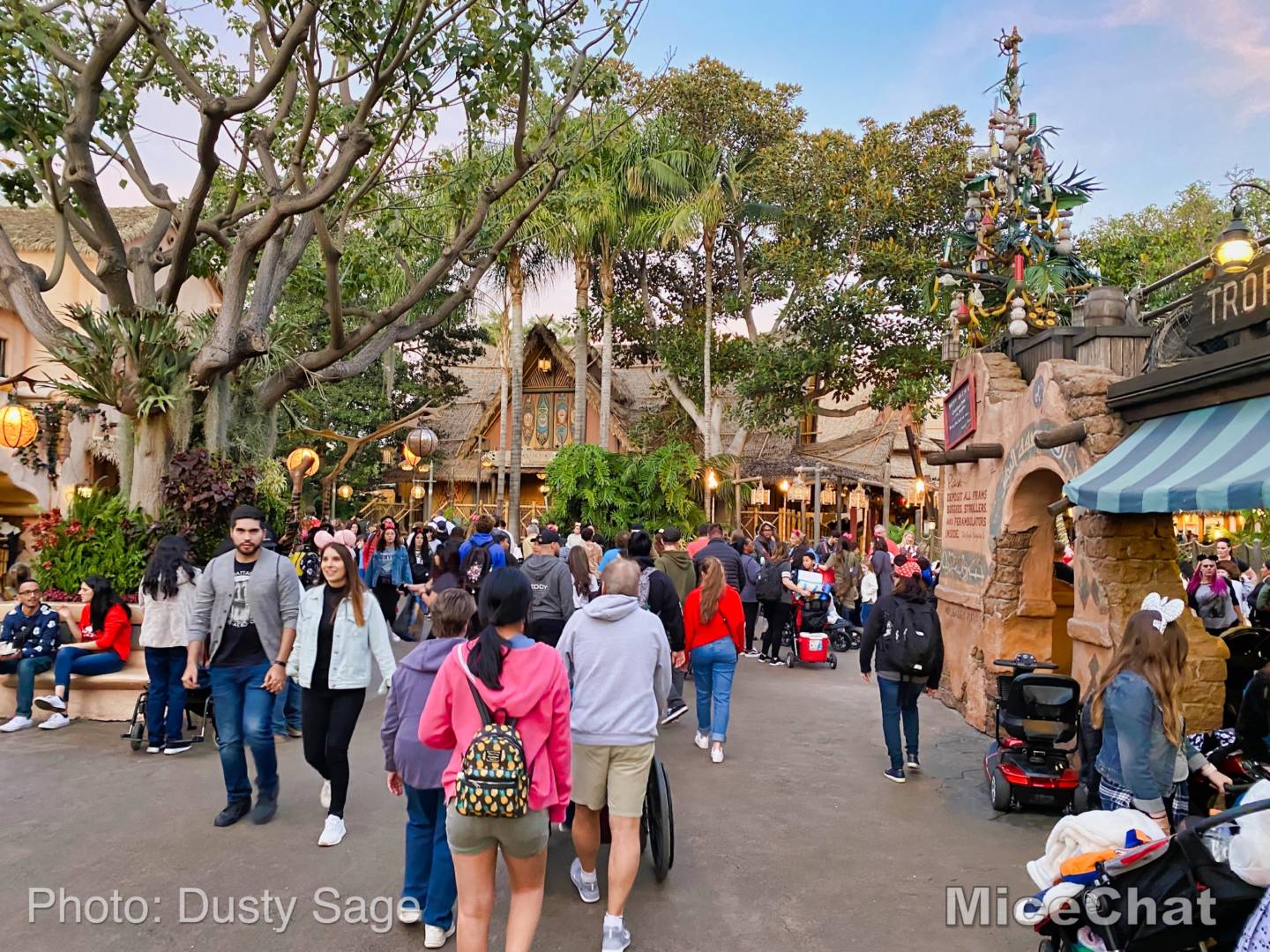 , Disneyland Update – Baby Yoda Tastes Delicious