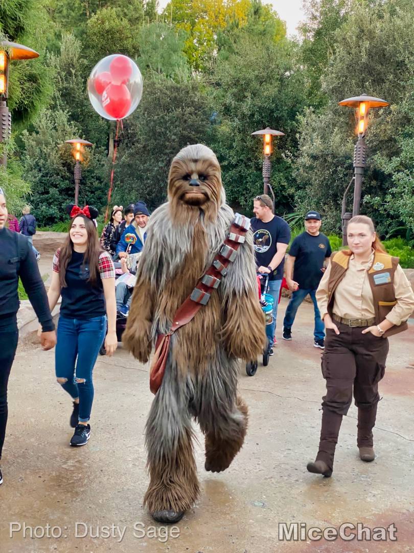 , Disneyland Update – Baby Yoda Tastes Delicious