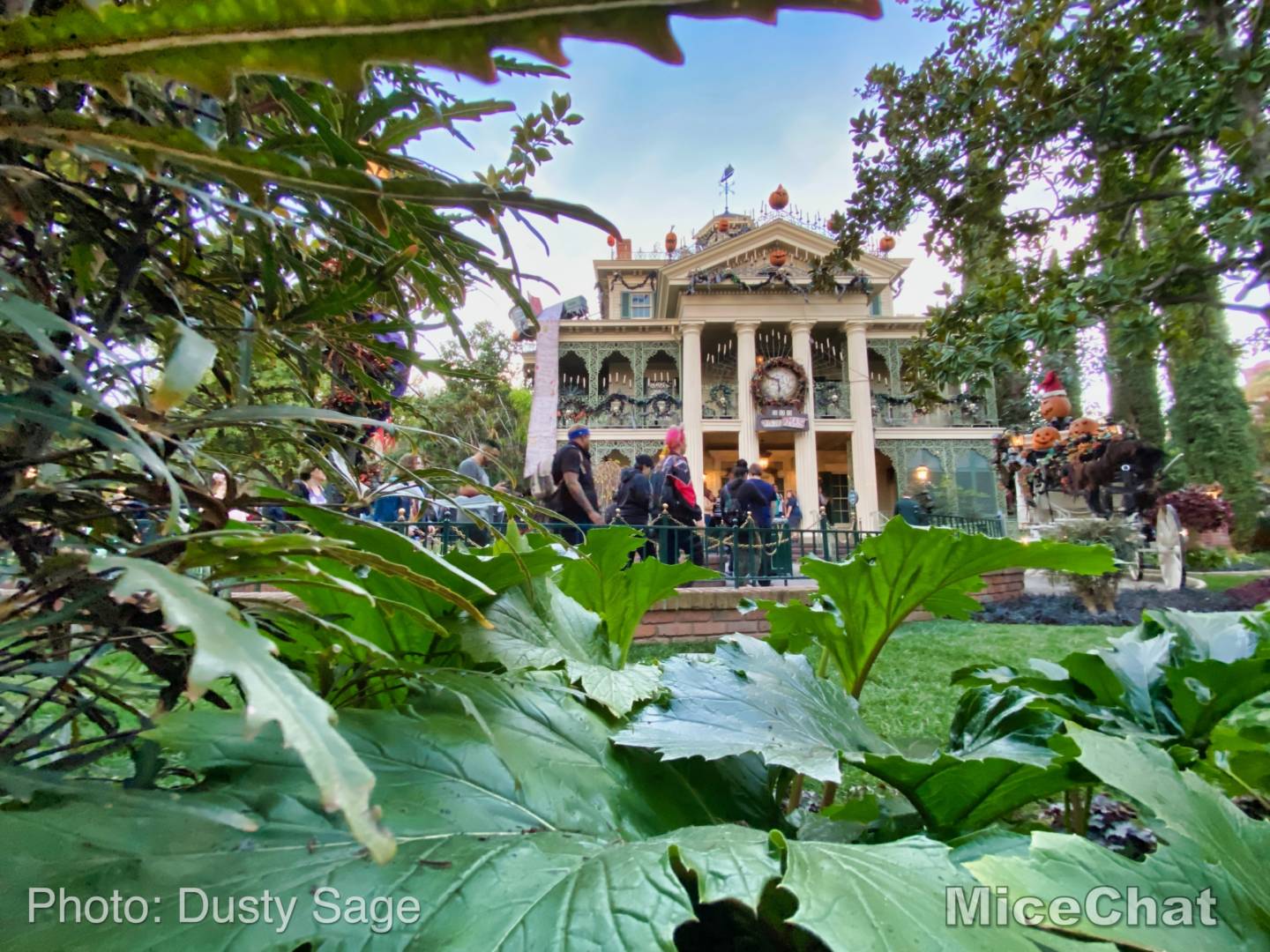 , Disneyland Update &#8211; Baby Yoda Tastes Delicious