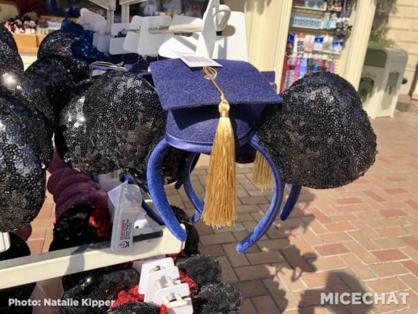 Disneyland Merchandise, Disneyland Merchandise Update: Timeless Icons