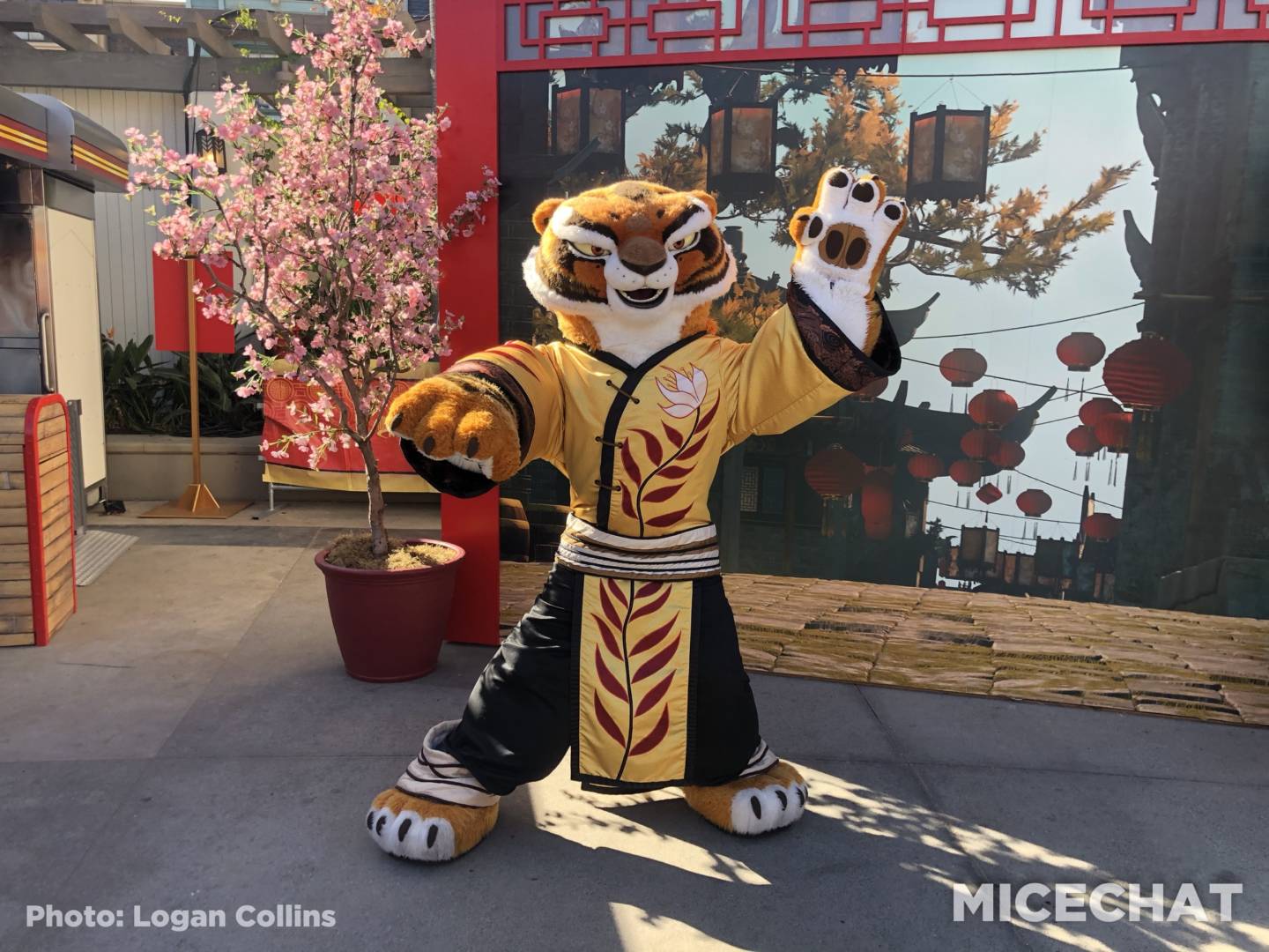 Hollywood Lunar New Year, Universal Studios Hollywood Lunar New Year a Colorful Treat