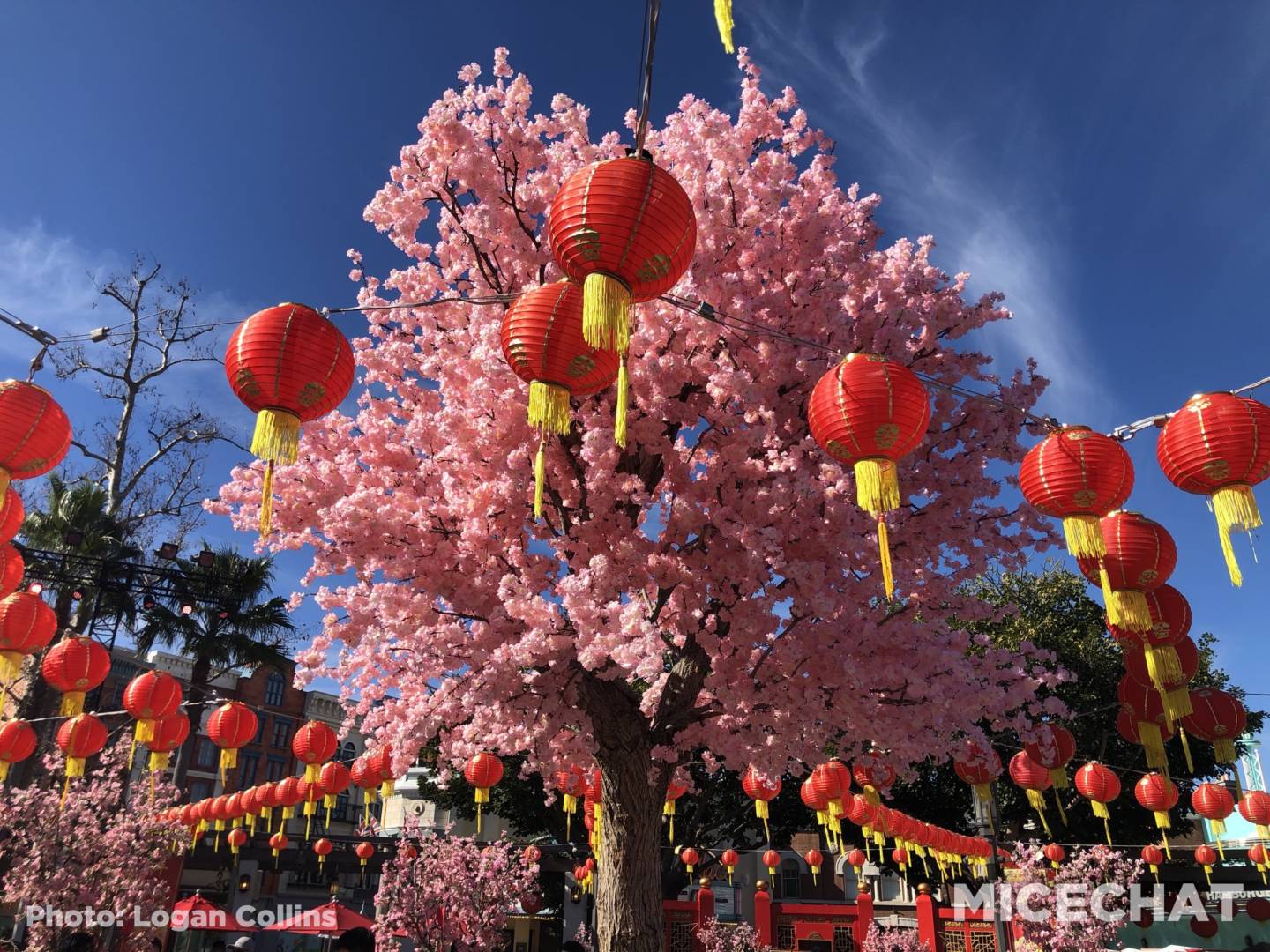 Universal Studios Hollywood Lunar New Year