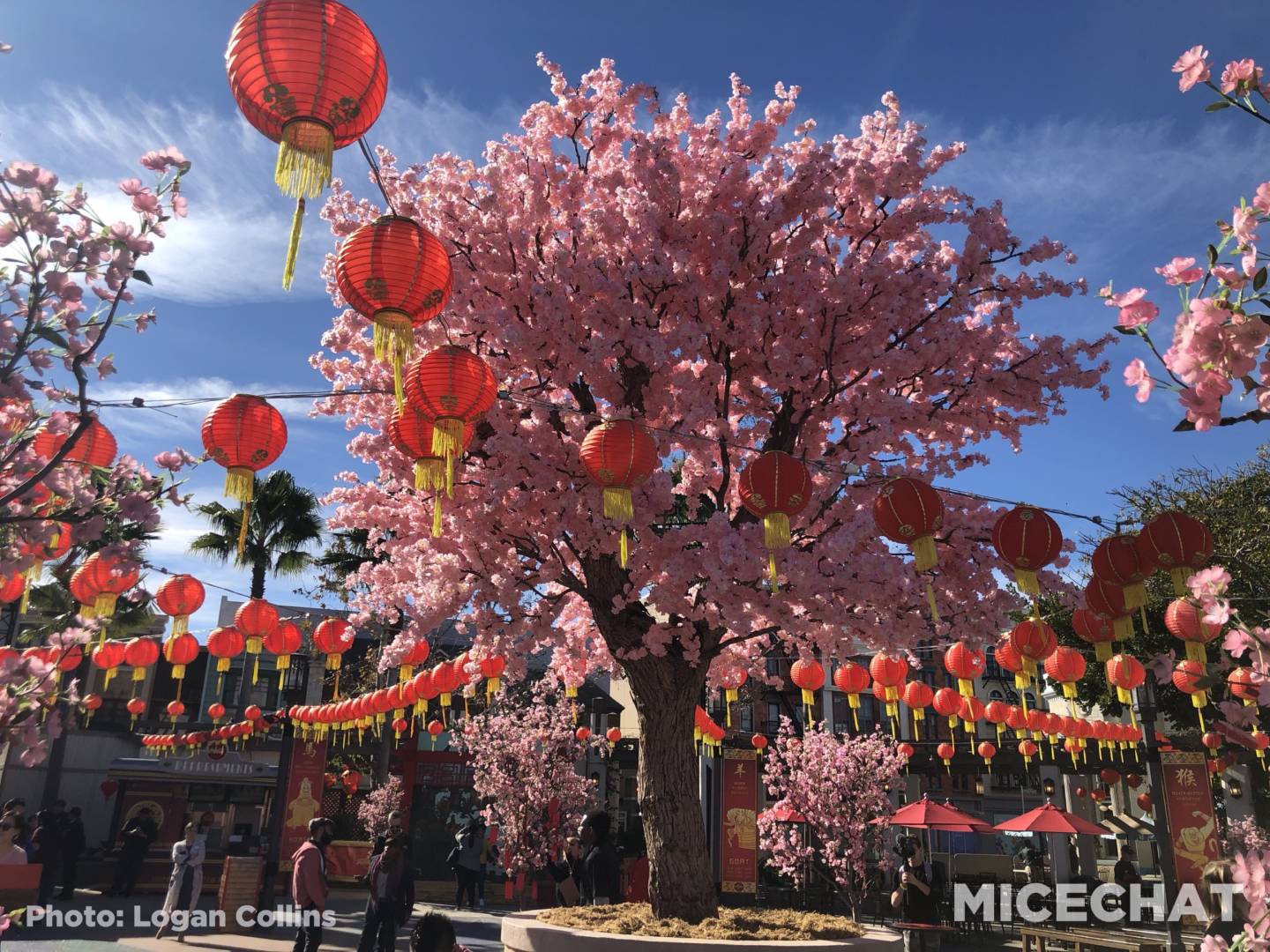 Universal Studios Hollywood Lunar New Year