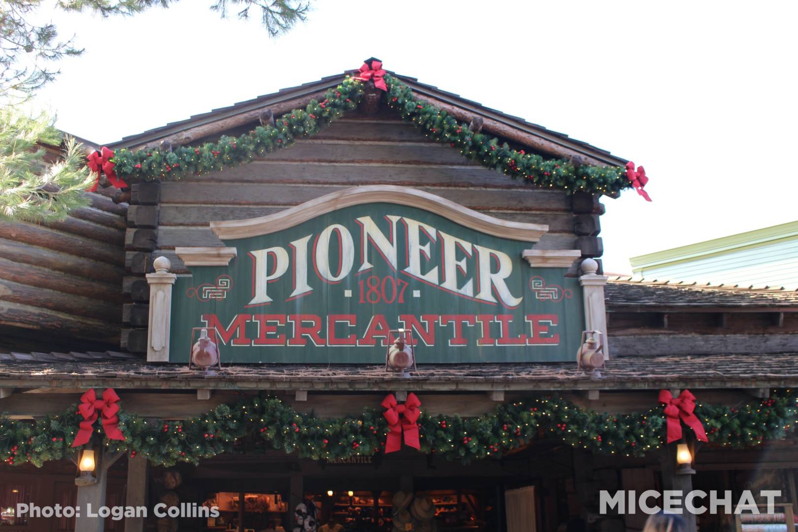 , Disneyland Update – The Resistance Rises!