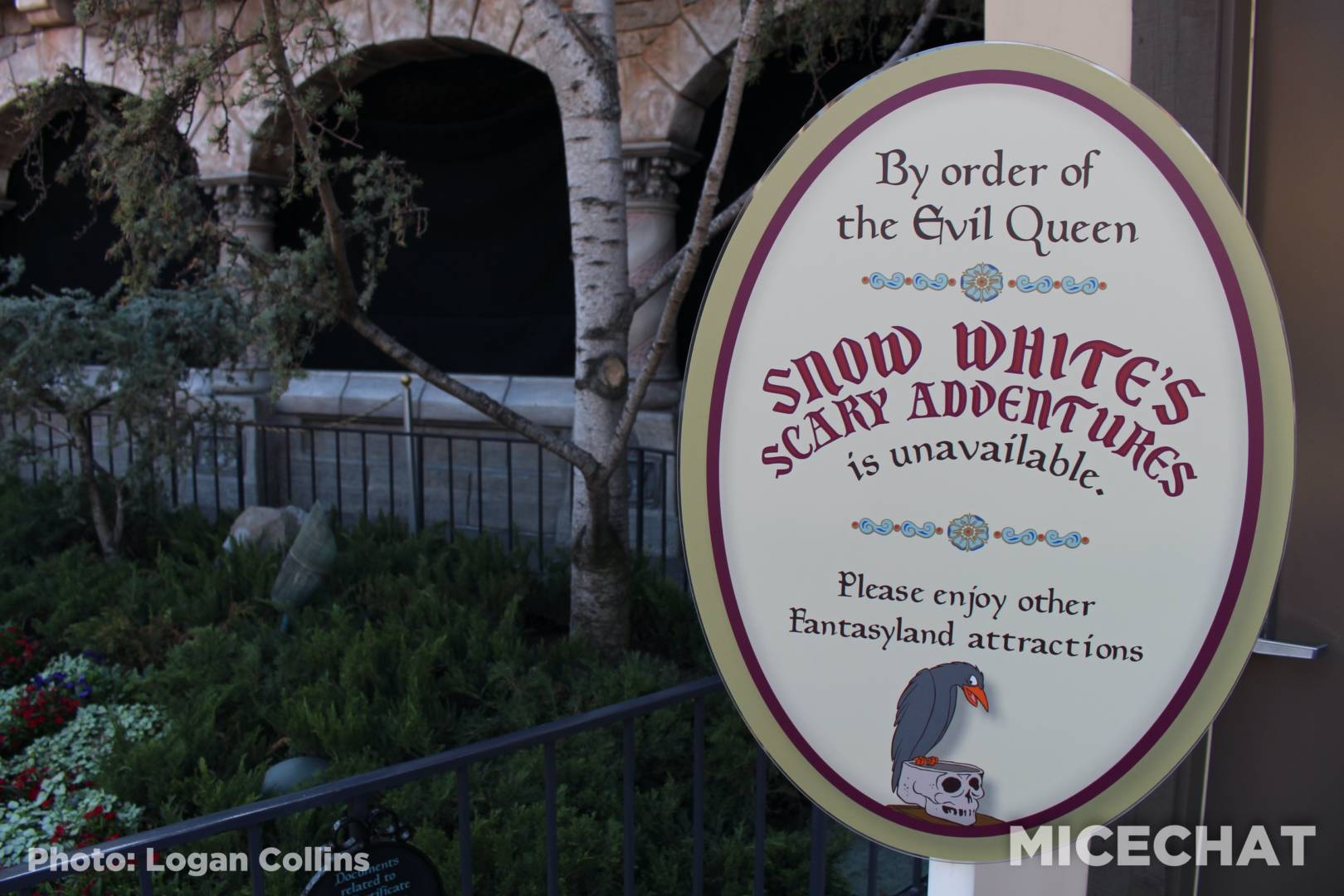 , Disneyland Update – The Resistance Rises!