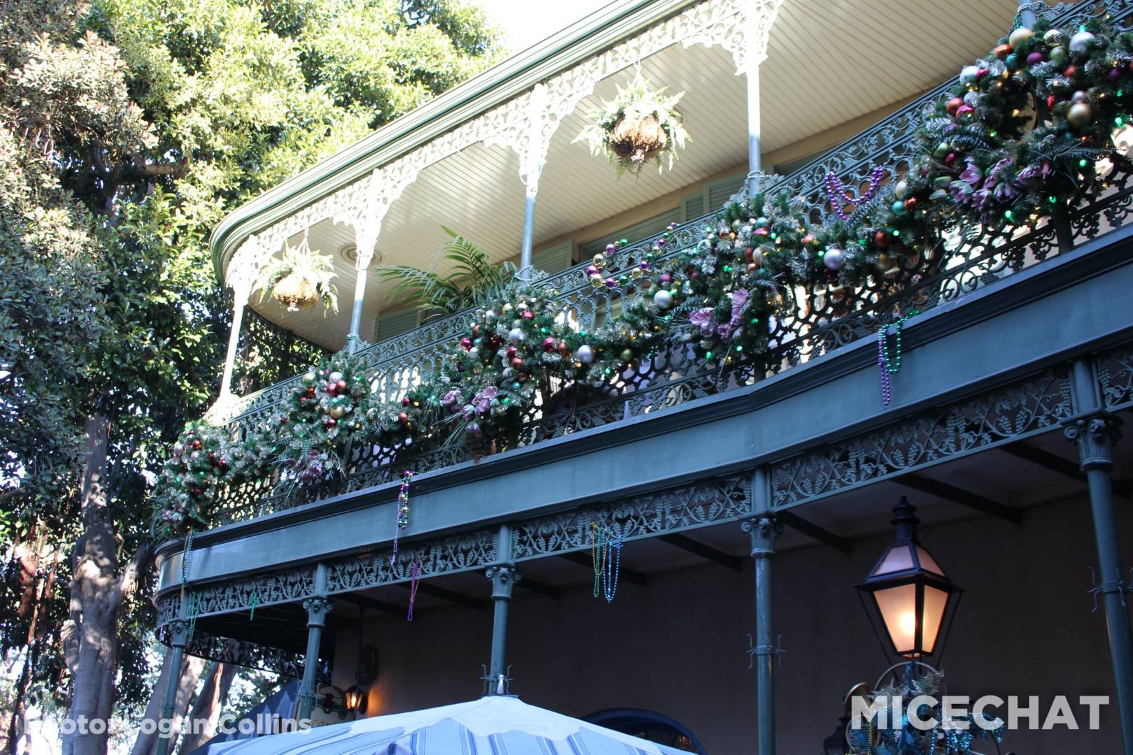 , Disneyland Update – The Resistance Rises!