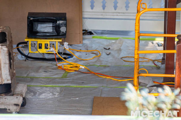 , Disneyland Update – Snow, Show & Grow