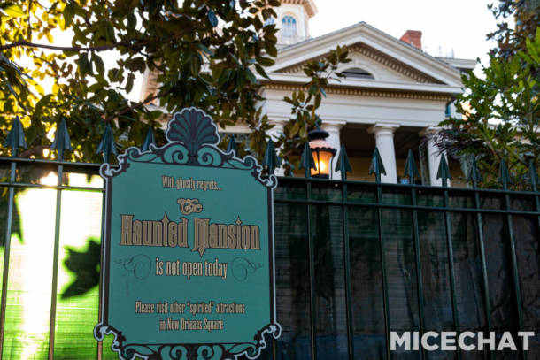 , Disneyland Update – Snow, Show & Grow