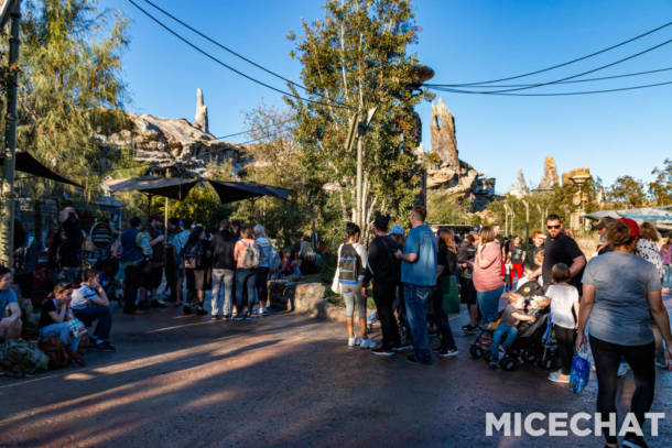 , Disneyland Update &#8211; Snow, Show &#038; Grow