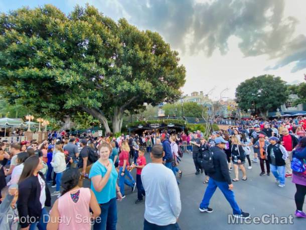 , Disneyland Update: New Parade, Food, & Chewie This Week!