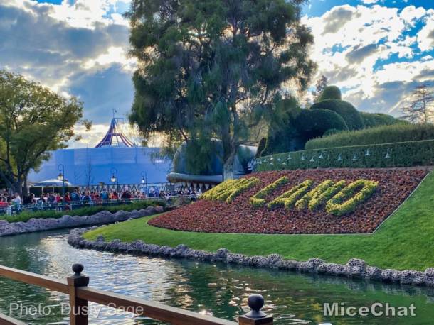 , Disneyland Update: New Parade, Food, & Chewie This Week!