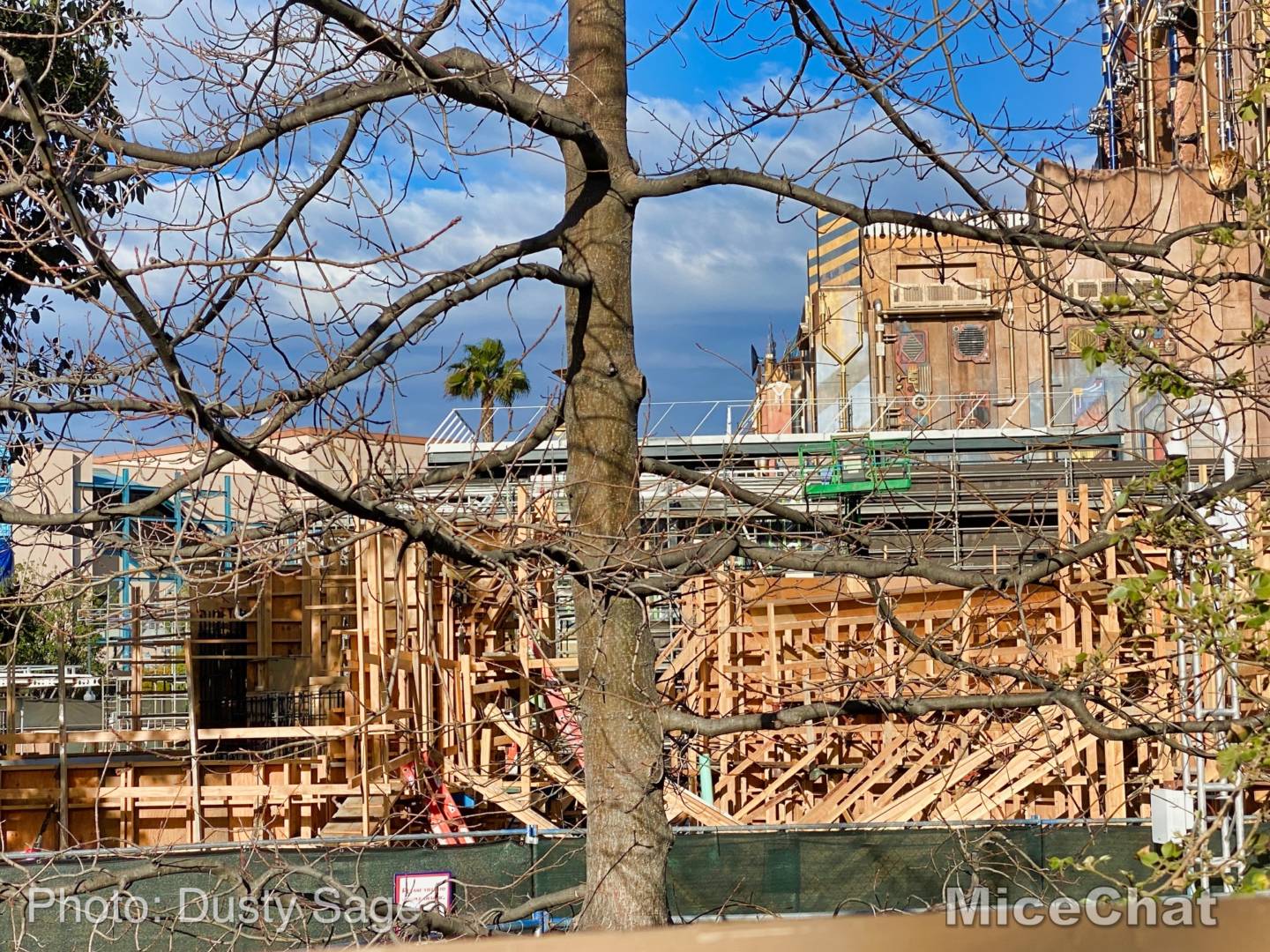 , Disneyland Update: New Parade, Food, & Chewie This Week!