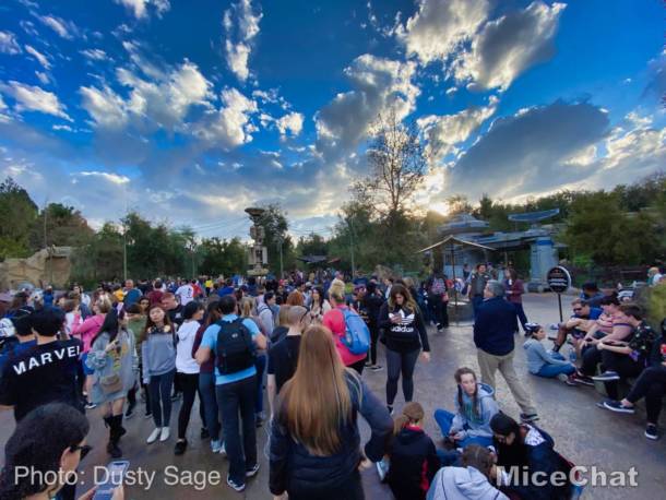 , Disneyland Update: New Parade, Food, & Chewie This Week!