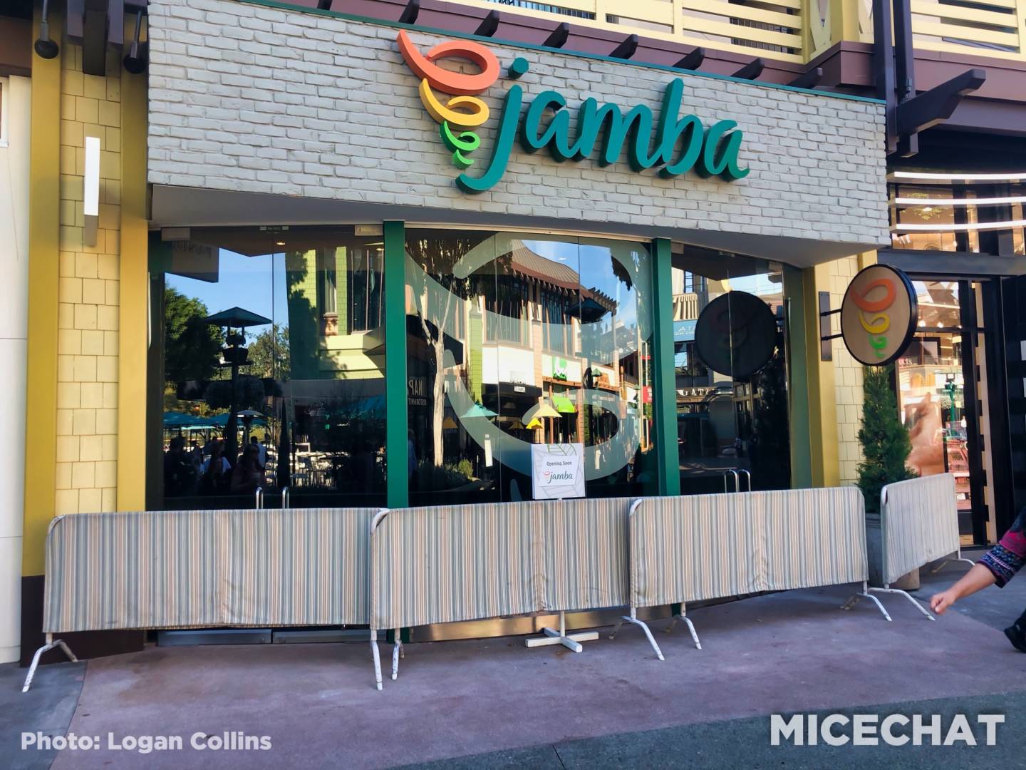 , Disneyland Resort Update – Pass Luck and Passed Over