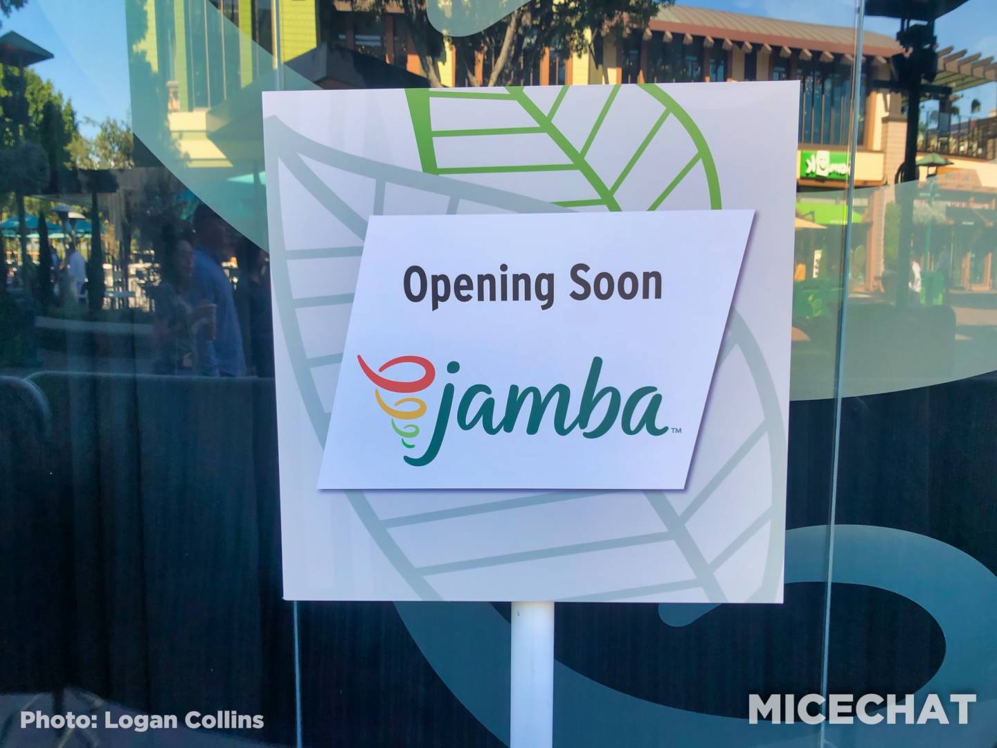, Disneyland Resort Update – Pass Luck and Passed Over