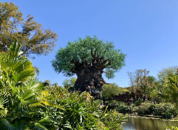 , Disney World Merchandise Update: ABC’s & the Tree of Life