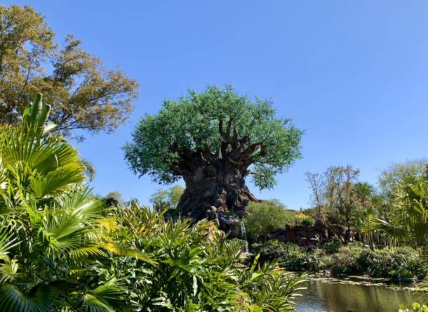 , Disney World Merchandise Update: ABC&#8217;s &#038; the Tree of Life