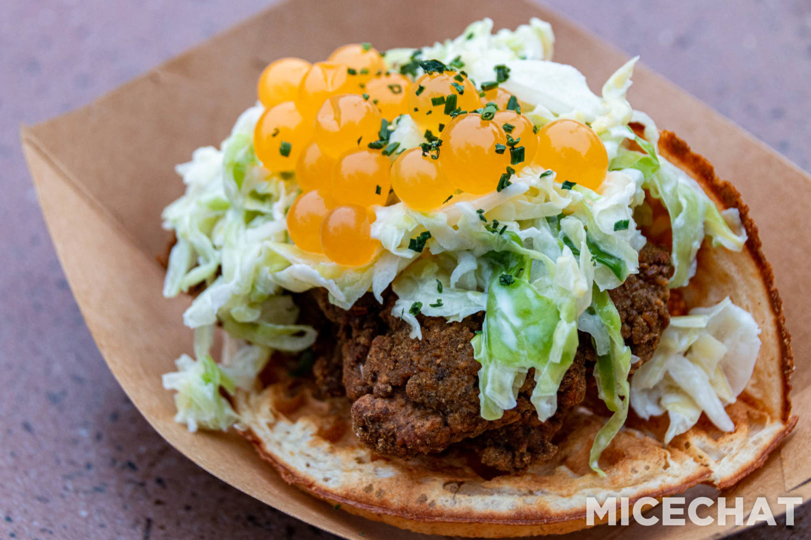 Food and Wine Festival, DCA Food and Wine Festival Opens Today – Here’s What You Need to Know