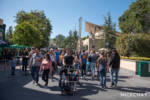 UniversalStudiosHollywood-2782