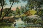 busch-gardens-pasadena-02
