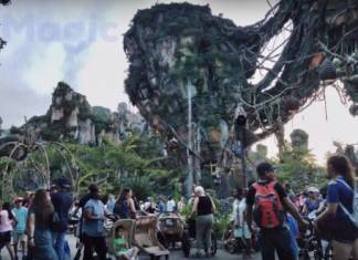 Ten Minutes of Magic – Disney World’s Floating Mountains of Pandora