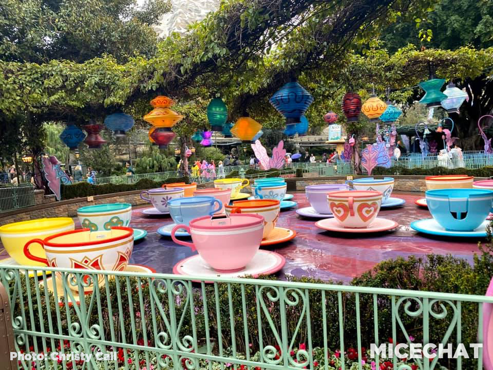 , Disneyland News Update  – The Storm Before the Calm