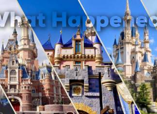 The Aftermath – ALL Disney Parks Closed