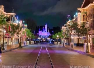 Disneyland Update – The Painful Afterglow