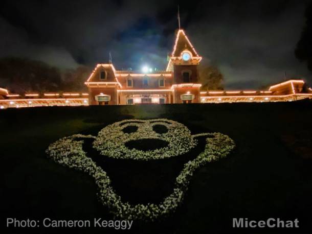 , Disneyland Update – The Painful Afterglow