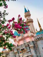 Disneyland-news-Chloe-Spring-Disneyland-Castle