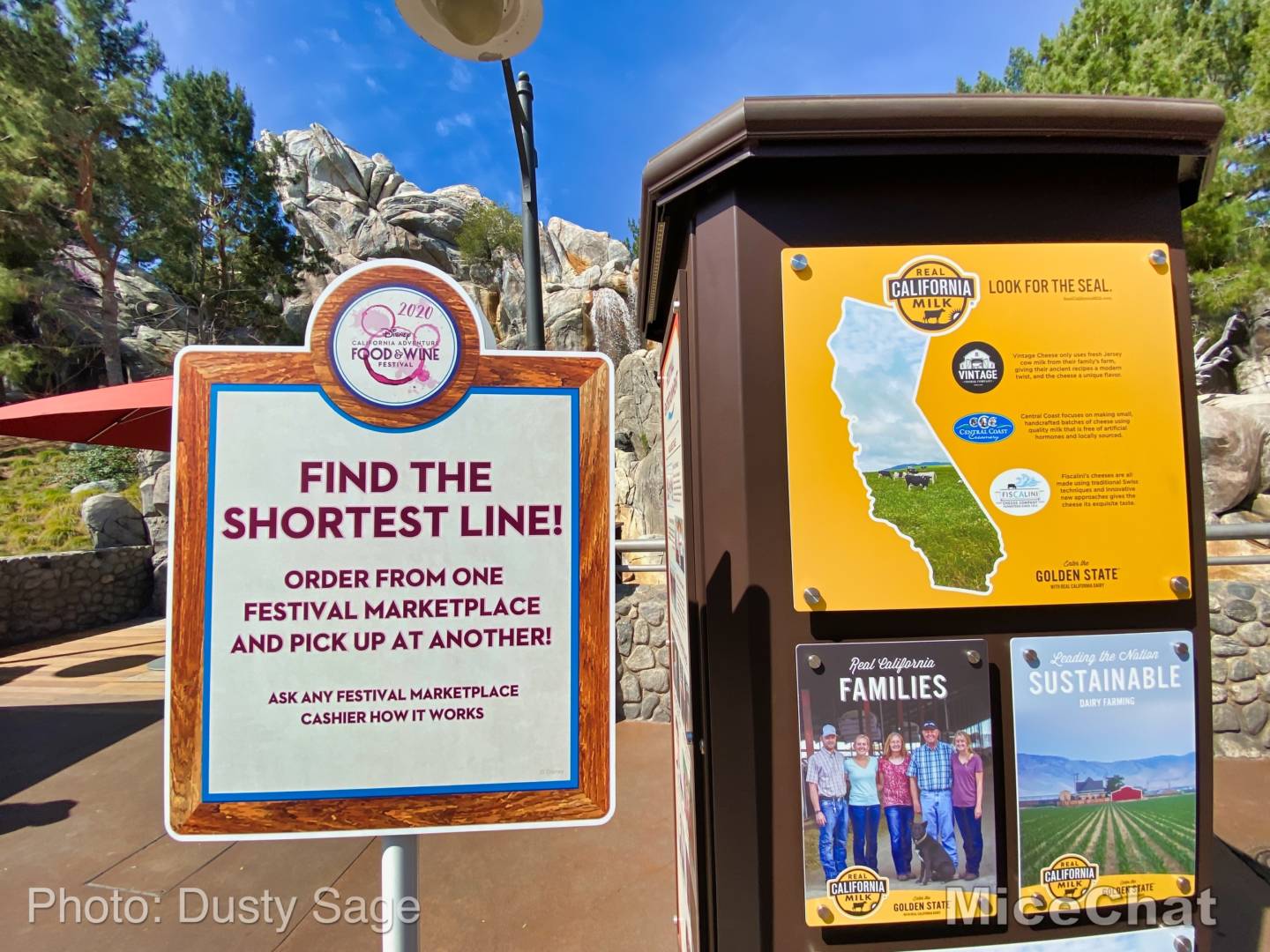 , Disneyland Update &#8211; Spring Fling and Virus Things