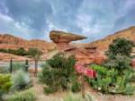 Disneyland-news-DCA-This-That-Cars-Land-Beauty-2
