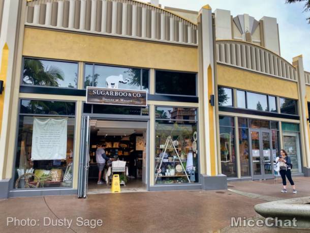 , Disneyland Resort Update Part 3 – The End is Just the Beginning