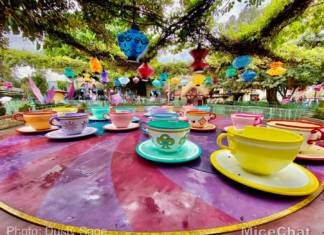 Disneyland Update Part 2 – Tragic Happens