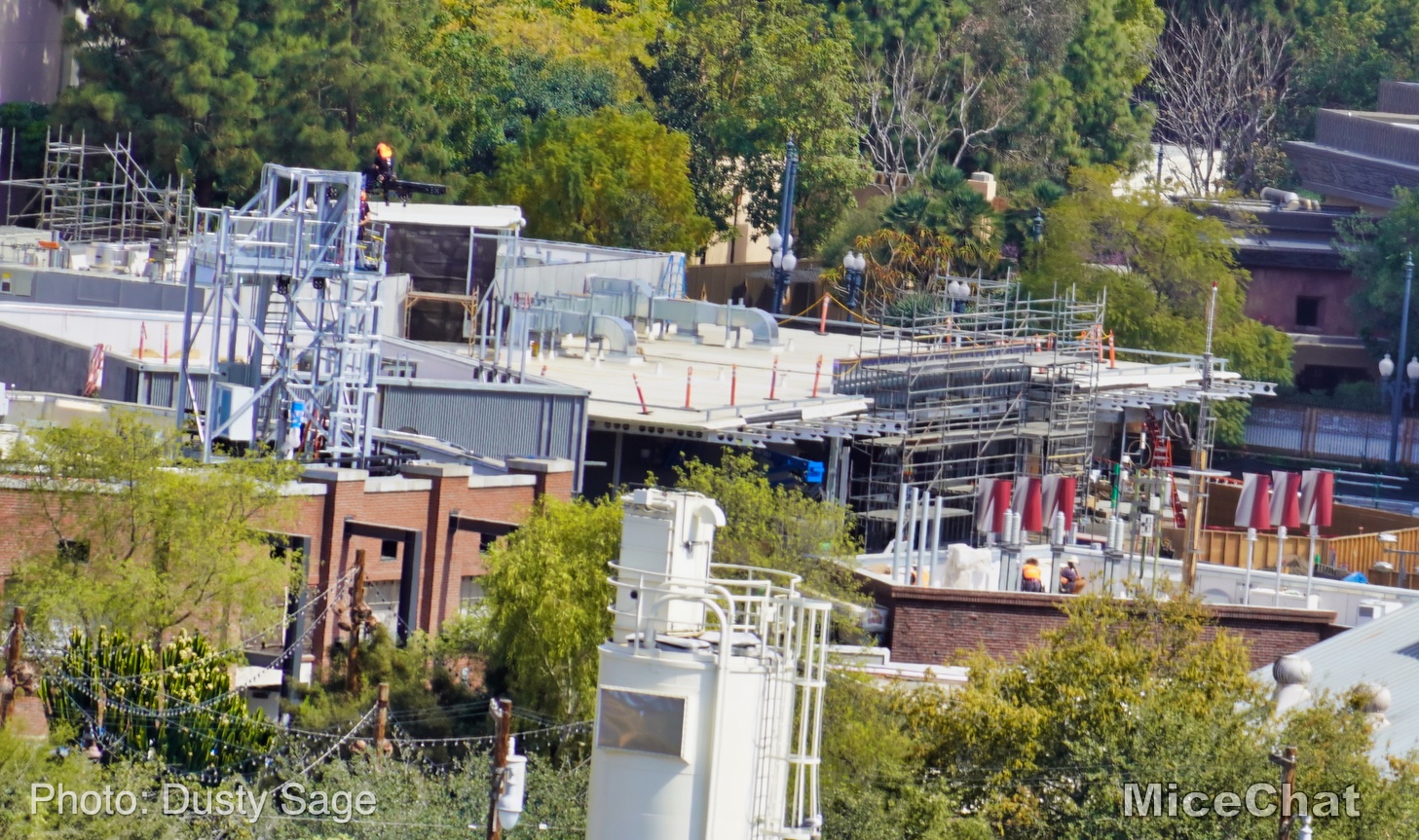 , Disneyland Update – Spring Fling and Virus Things