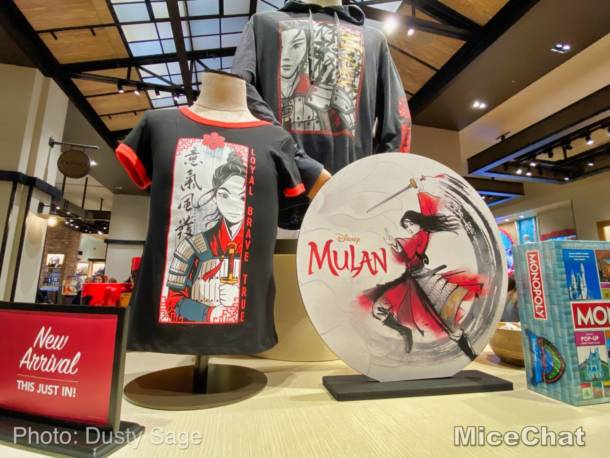 , Disneyland Resort Update Part 3 – The End is Just the Beginning