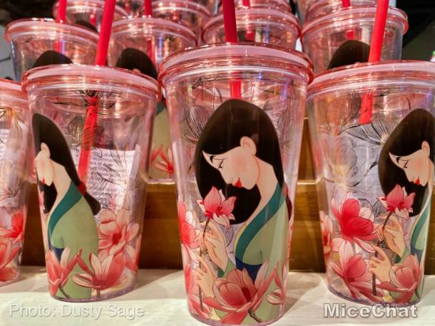 , Disneyland Resort Update Part 3 – The End is Just the Beginning