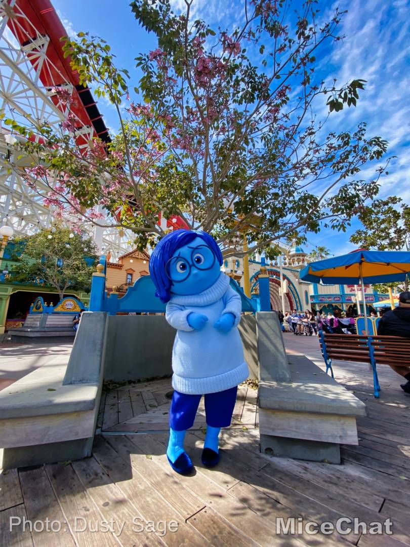 , Disneyland Update – The Billion Dollar Question
