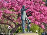 Disneyland-news-Spring-Hub-Walt-Pink-Trees-1