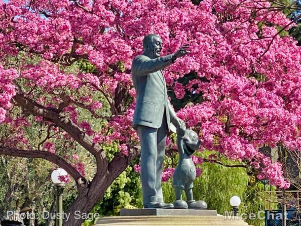 , Disneyland News Update  – The Storm Before the Calm