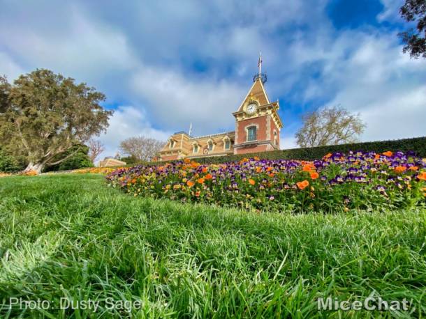 , Disneyland Update – Spring Fling and Virus Things